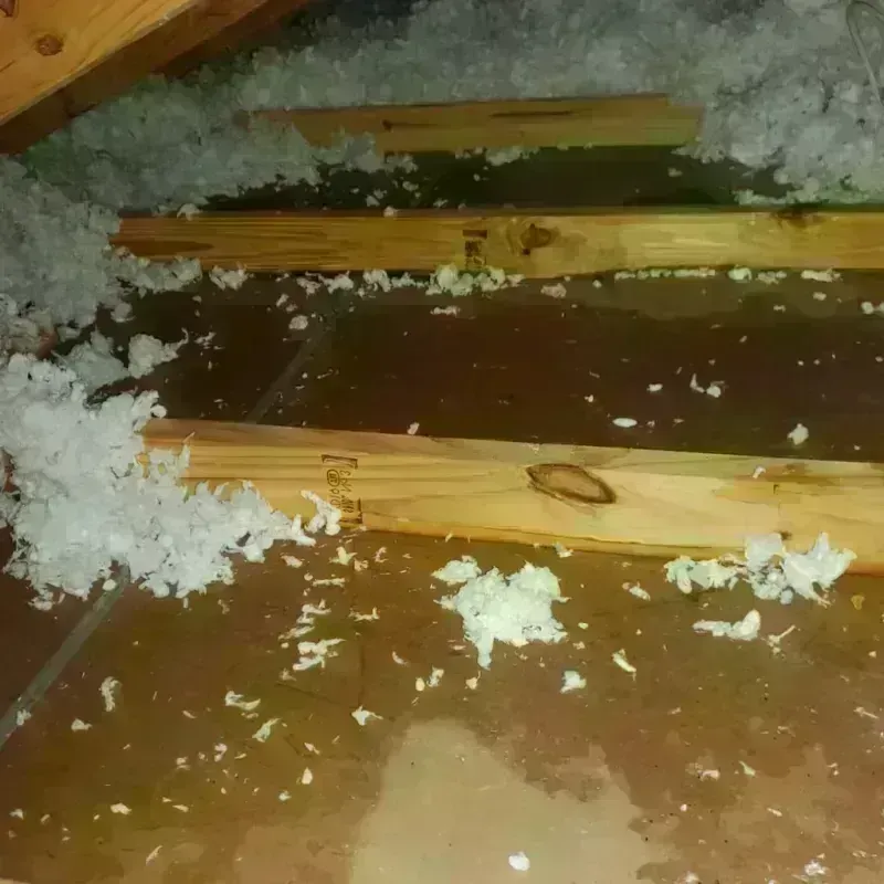 Attic Water Damage in Ocala, FL